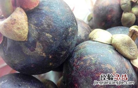 山竹什么季节成熟最好 山竹什么季节成熟