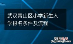 武汉青山区小学新生入学报名条件及流程