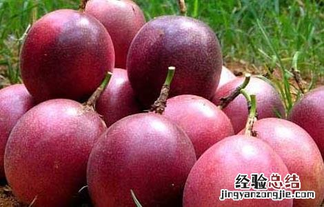 百香果一般是几月份成熟 百香果的成熟期是几月份