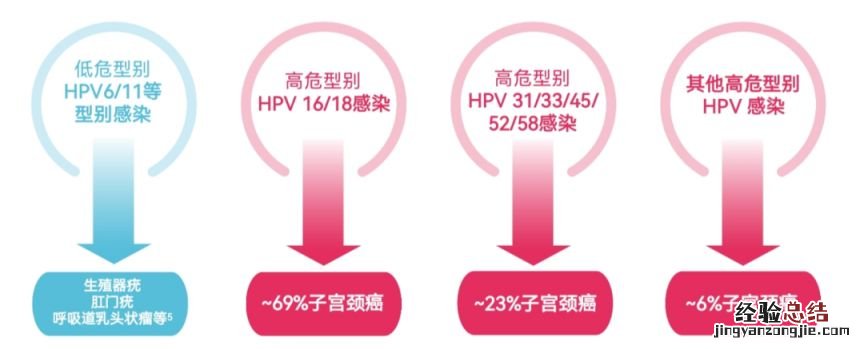 洛龙区HPV疫苗预约公告 洛阳市hpv疫苗预约