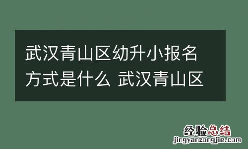 武汉青山区幼升小报名方式是什么 武汉青山区幼升小怎样报名