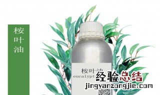 桉叶油的功效与作用 水户杀虫配方 桉叶油的功效与作用