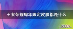 王者荣耀周年限定皮肤都是什么 王者荣耀周年限定皮肤都是什么意思