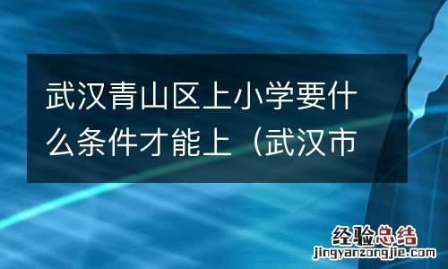 武汉市青山区小学入学政策 武汉青山区上小学要什么条件才能上
