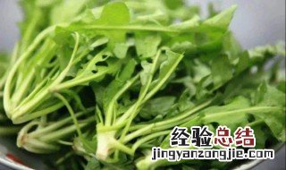 地菜怎么做不苦不涩 地菜怎么做不苦