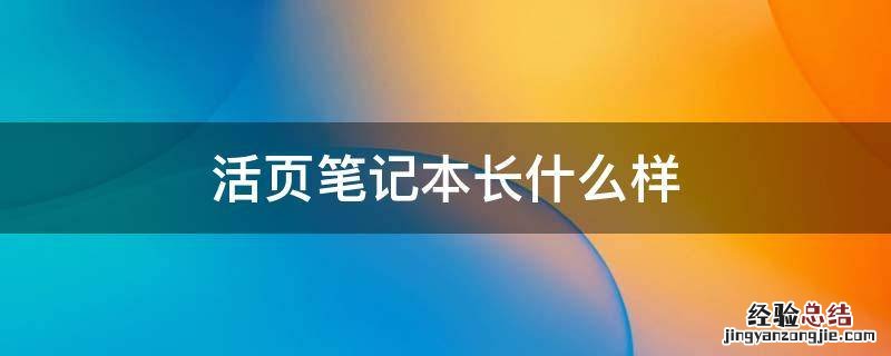 活页笔记本和普通笔记本 活页笔记本长什么样