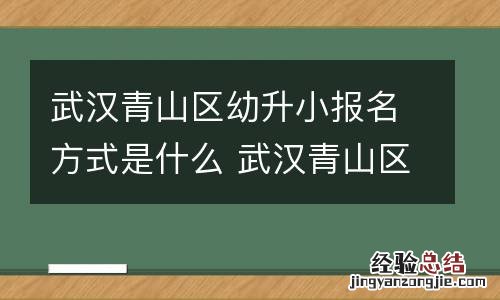 武汉青山区幼升小报名方式是什么 武汉青山区幼升小报名方式是什么样的