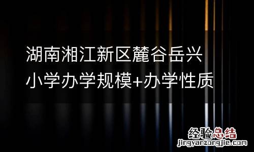 湖南湘江新区麓谷岳兴小学办学规模+办学性质+开学时间