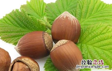 榛子特产地 榛子产地有哪些地方