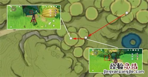 原神帕蒂莎兰在哪采集 帕兰帝娅