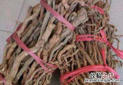 海南胡椒根的功效与作用