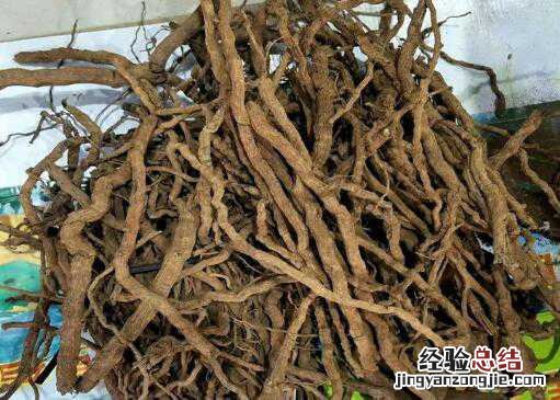 海南胡椒根的功效与作用