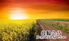 用来形容田野的句子 形容田野的句子有哪些