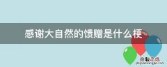 什么叫大自然的馈赠 感谢大自然的馈赠是什么梗
