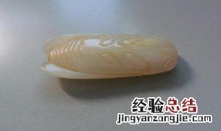 历代玉蝉特征 历代玉蝉特征鉴别
