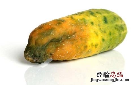 黄瓜烂尖原因及防治方法 黄瓜烂尖原因及防治方法视频