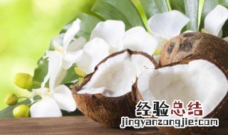 椰青炒饭怎么做 椰子炒饭怎么做