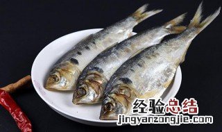 清蒸王鱼的做法窍门窍门 清蒸王鱼的家常做法窍门