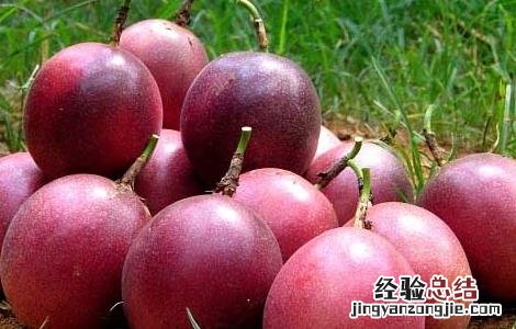 百香果产地在哪里 百香果产地在哪里,什么季节最好吃