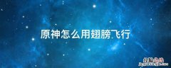 原神怎么用翅膀飞行 原神怎么通过飞行