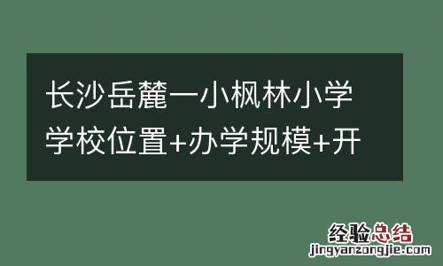 长沙岳麓一小枫林小学学校位置+办学规模+开学时间