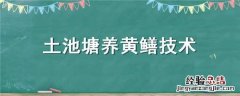 土池黄鳝养殖最新技术 土池塘养黄鳝技术