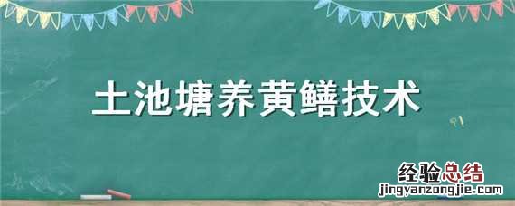 土池黄鳝养殖最新技术 土池塘养黄鳝技术