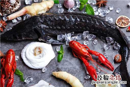 鲟鱼多少钱一斤 养殖鲟鱼多少钱一斤
