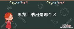 黑龙江纳河是哪个区 讷河属于哪个市