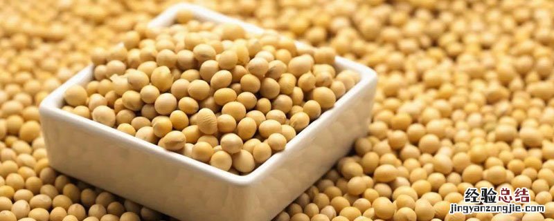 大豆豆瓣是器官吗 大豆的豆瓣是什么
