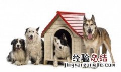 梦见狗是什么意思周公解梦女人 梦见狗是什么意思周公解梦