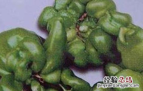 菜椒畸形果的防控措施 辣椒畸形果怎么防治