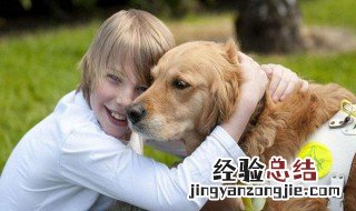 导盲犬带盲人视频 导盲犬怎么带盲人出行