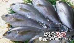 鲜鱼放冰箱怎么保鲜好 鲜鱼放冰箱前怎么做