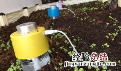 种菜籽怎么做 种菜籽怎么做好吃