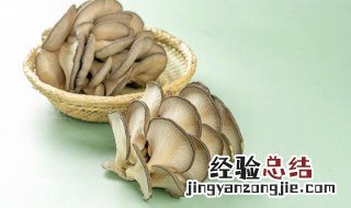 蘑菇的腌制方法教程 蘑菇的腌制方法视频