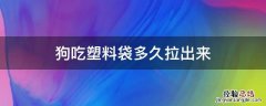 狗吃塑料袋多久拉出来 狗吃塑料袋多久拉出来第二天拉的屎是软的