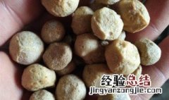 阿胶珠的功效与作用及食用方法禁忌 阿胶珠的功效与作用及食用方法
