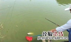 天热怎么钓鱼深浅 天热怎么钓鱼