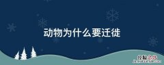 动物为什么要迁徙 动物为什么要迁徙过冬