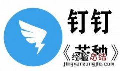 钉钉怎样半屏 钉钉怎样半屏看视频