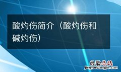 酸灼伤和碱灼伤 酸灼伤简介