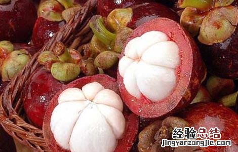 山竹的高产栽植技术视频 山竹的高产栽植技术