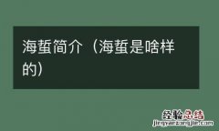 海蜇是啥样的 海蜇简介
