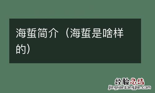 海蜇是啥样的 海蜇简介
