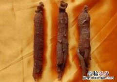 韩国红参的功效与作用和用量 韩国红参的功效与作用