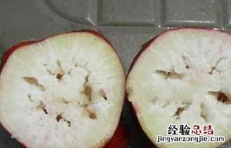 萝卜种植注意事项 夏季种植萝卜需要注意什么