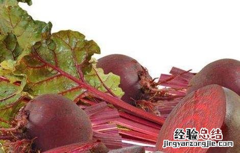 甜菜低糖原因及防治措施视频 甜菜低糖原因及防治措施