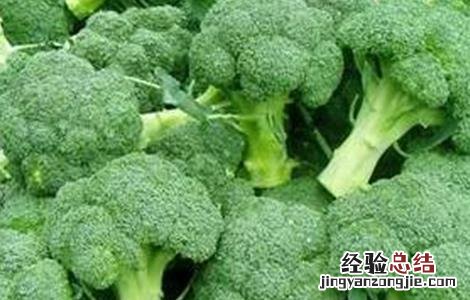 西兰花空心的原因及防治措施 西兰花空茎原因及防治方法