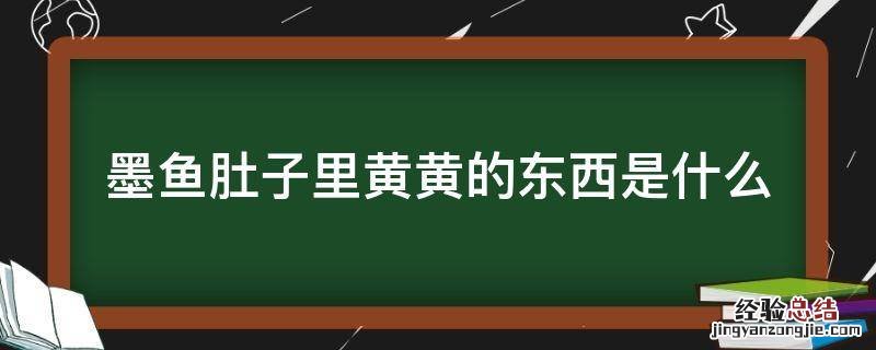 墨鱼肚子里黄黄的东西是什么 墨鱼肚子里的黄能吃吗